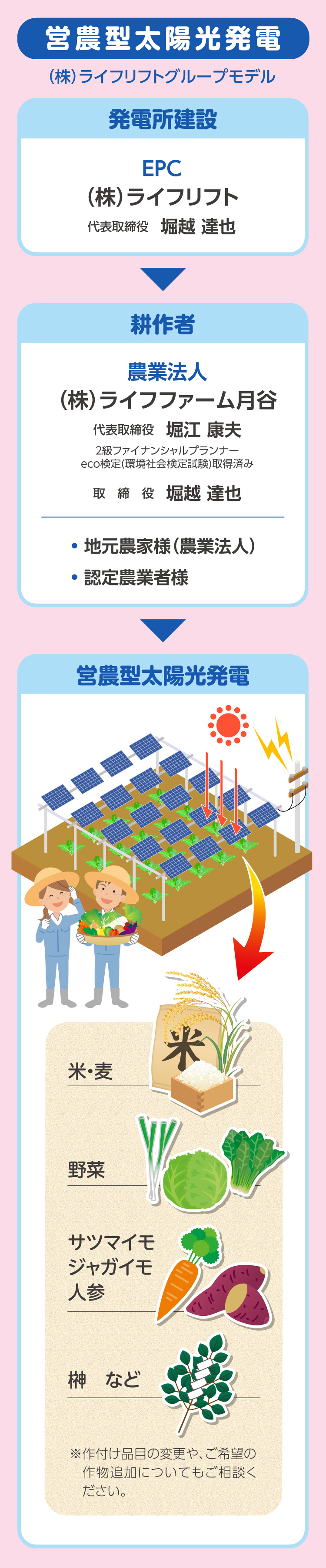 営農型太陽光発電グループモデル
