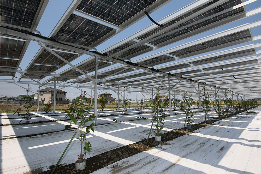 設置事例0001の写真