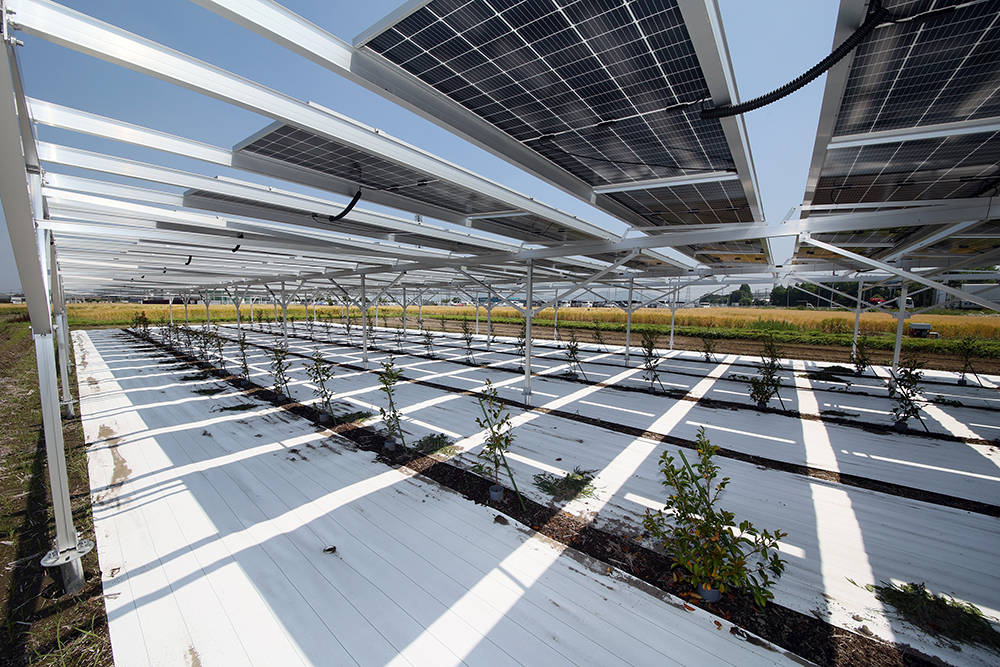 設置事例0001の写真