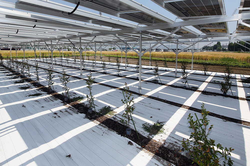 設置事例0001の写真