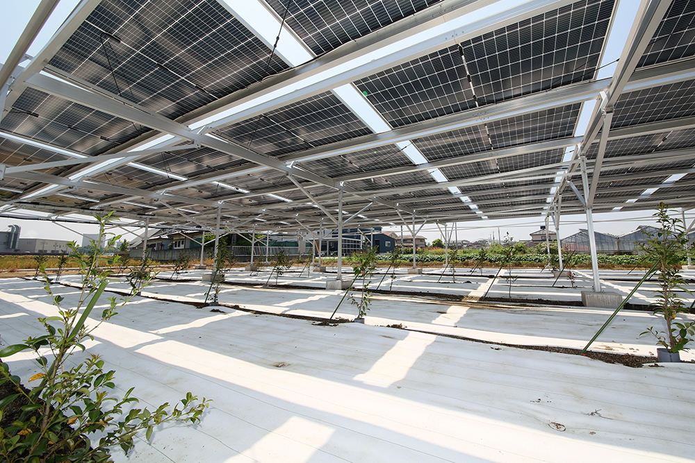 設置事例0002の写真