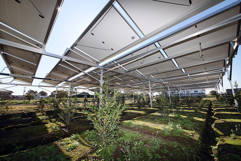 設置事例0005の写真